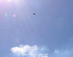 ufo pictures